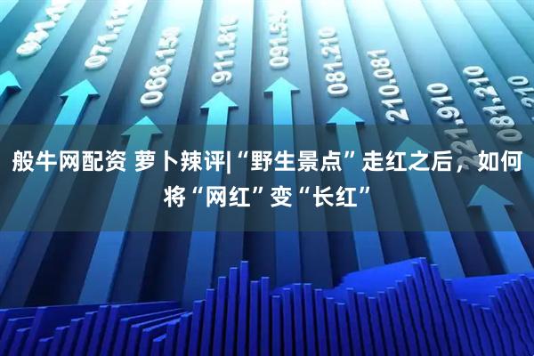 般牛網配資 蘿卜辣評|“野生景點”走紅之后，如何將“網紅”變“長紅”